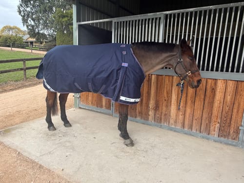 Customer photo review of LE Boxter Turnout Ripstop 200g