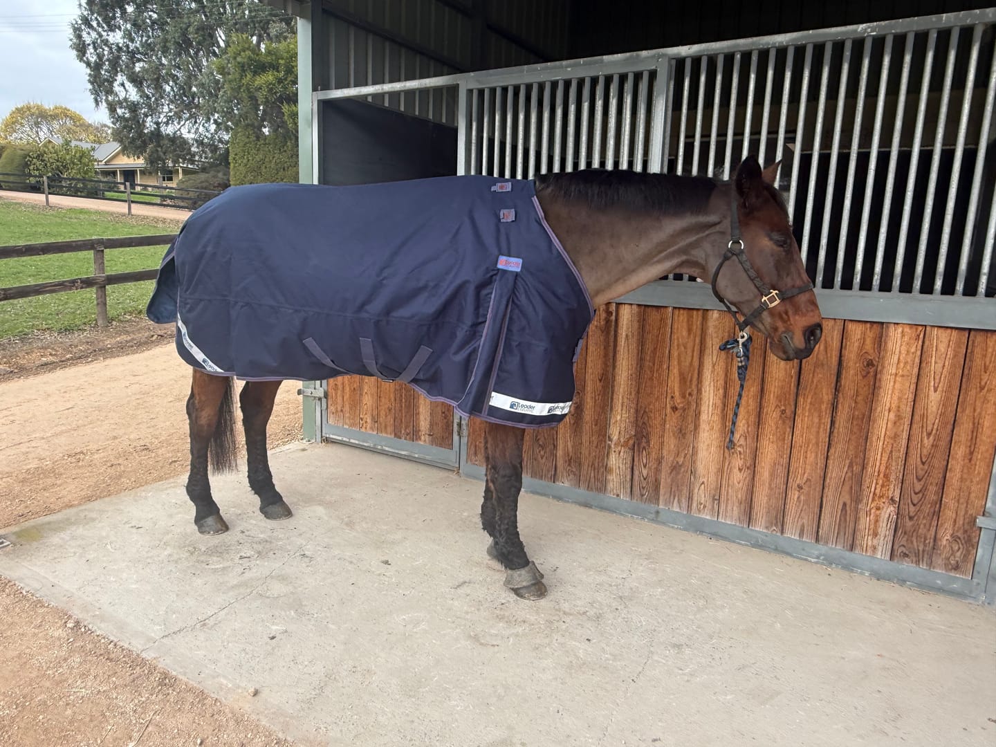 Customer photo review of LE Boxter Turnout Ripstop 200g