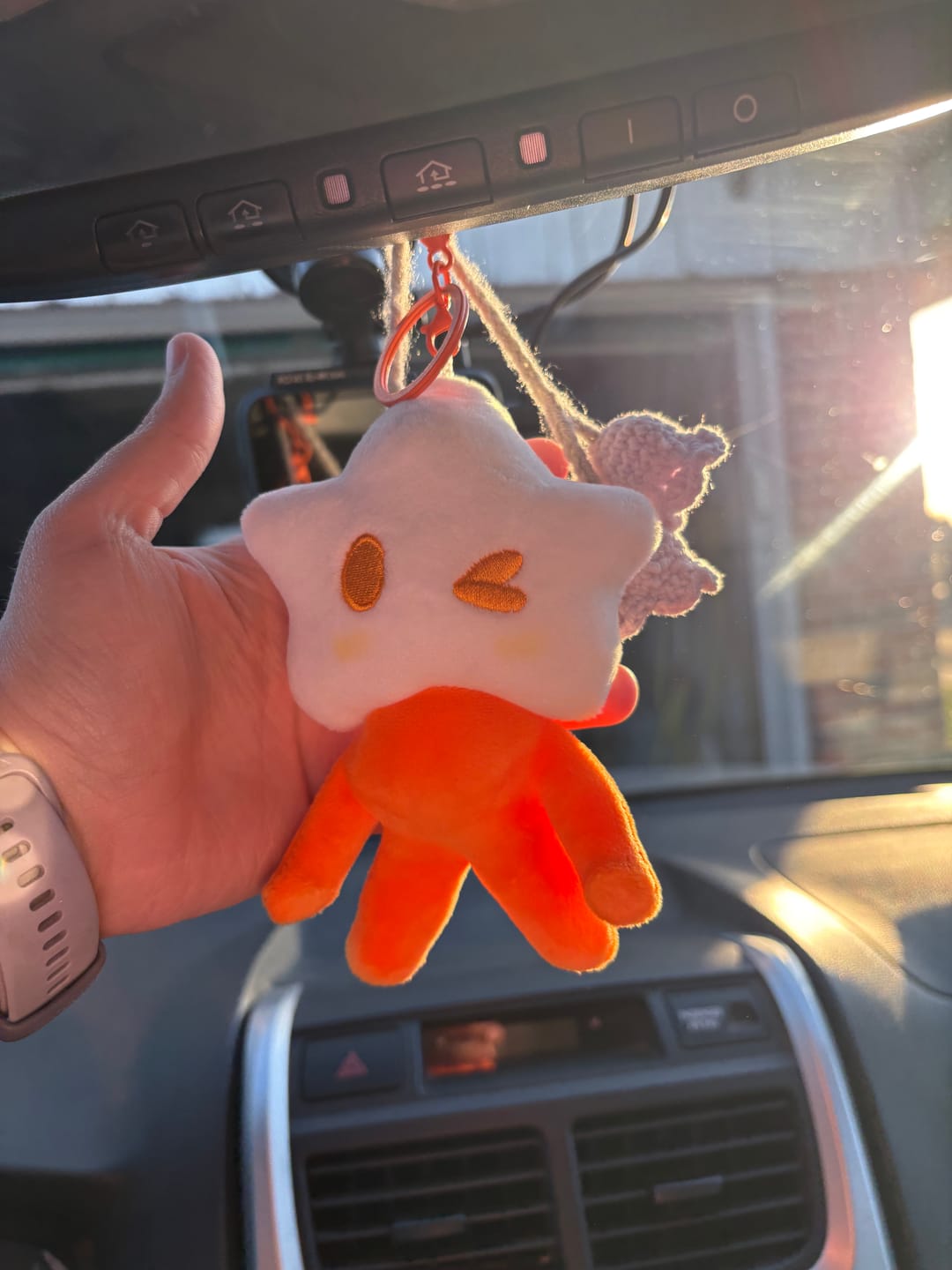 Customer photo review of Adopt a Star Baby Plush Blind Box
