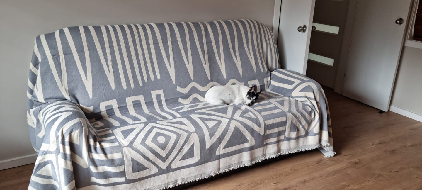 Customer photo review of CouchCare™️ Couch Protector