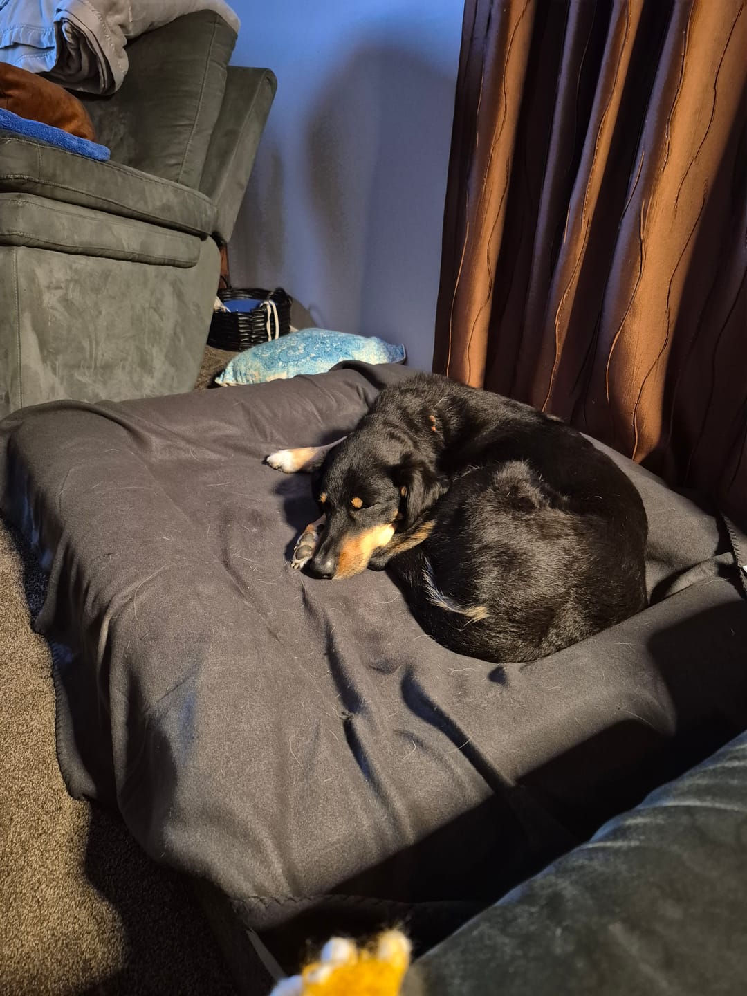 Customer photo review of Orthopaedic Memory Foam Bed