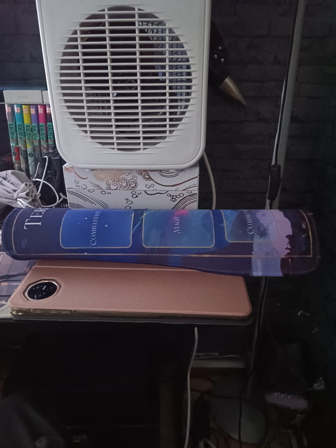 Customer photo review of 3500 POINTS - Tapis extension offert