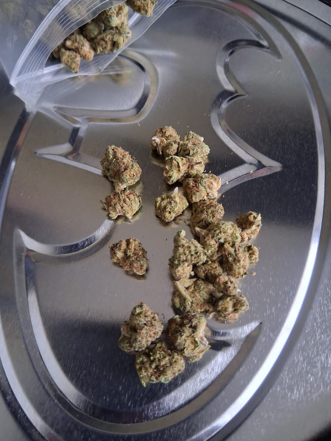 Customer photo review of Barneys Biscotti Minis - 14 Grams - Indica