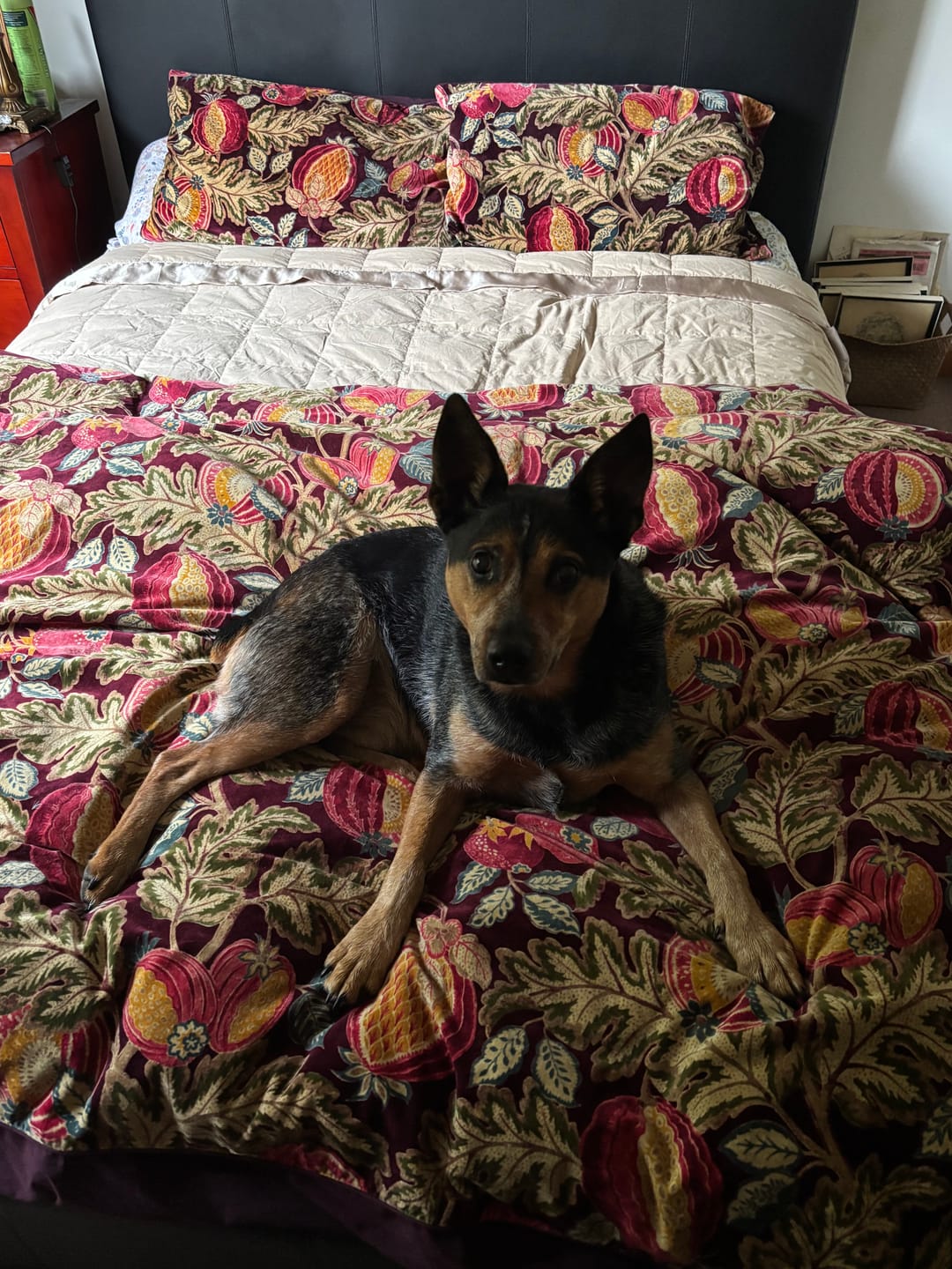 Customer photo review of Feather + Duck Down Blanket