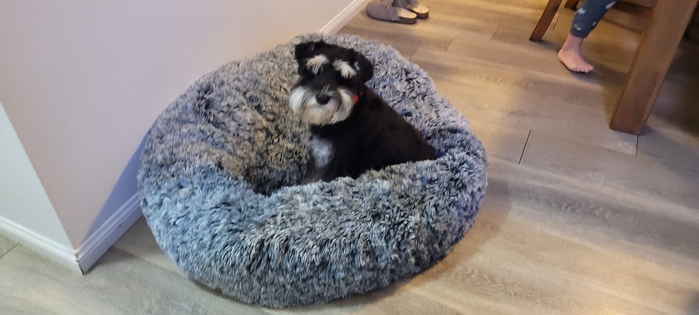 Customer photo review of Calming Pet Bed with Removable Cover