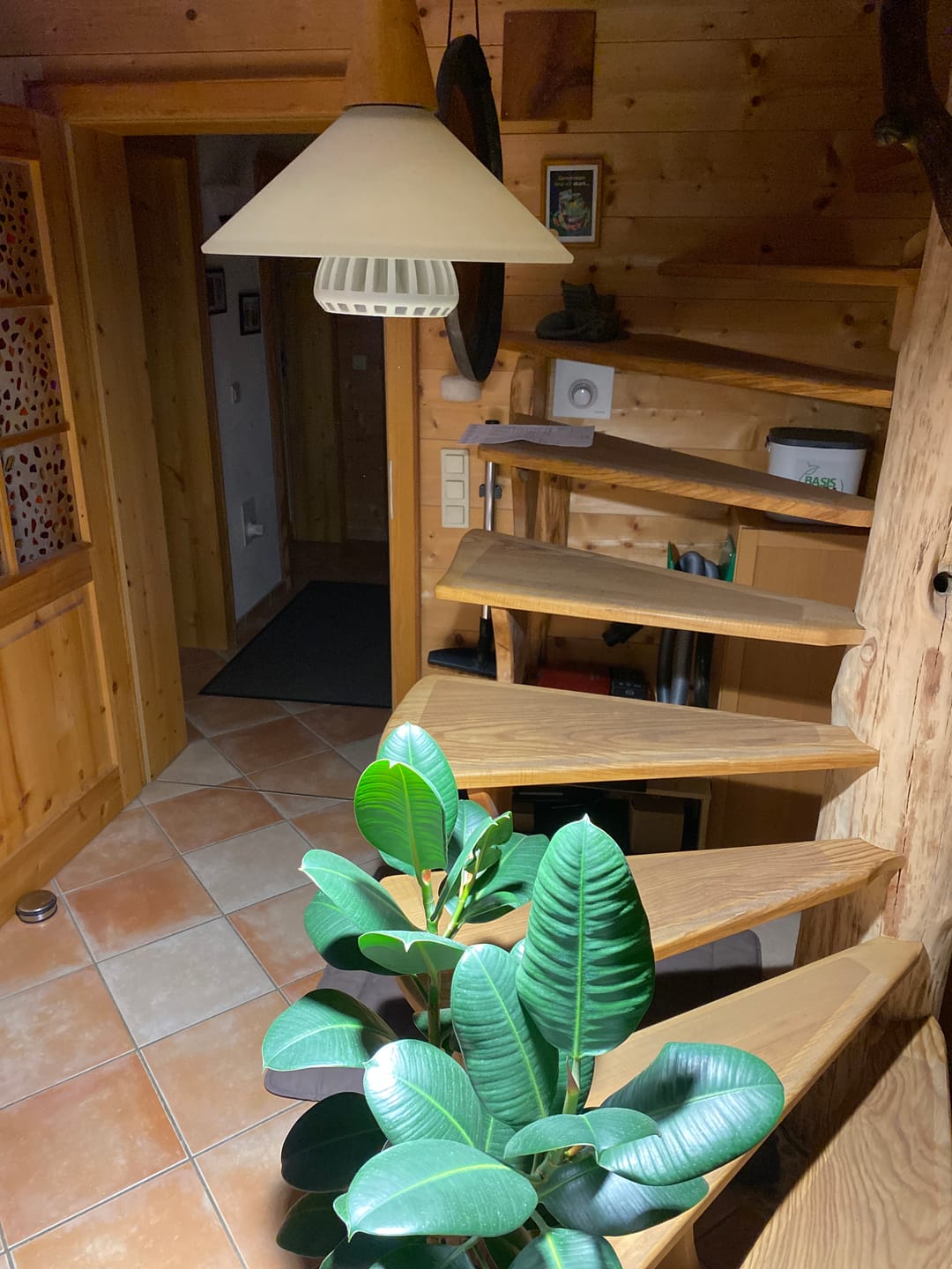 Customer photo review of Pianta LED Pflanzenlampe: Weiß