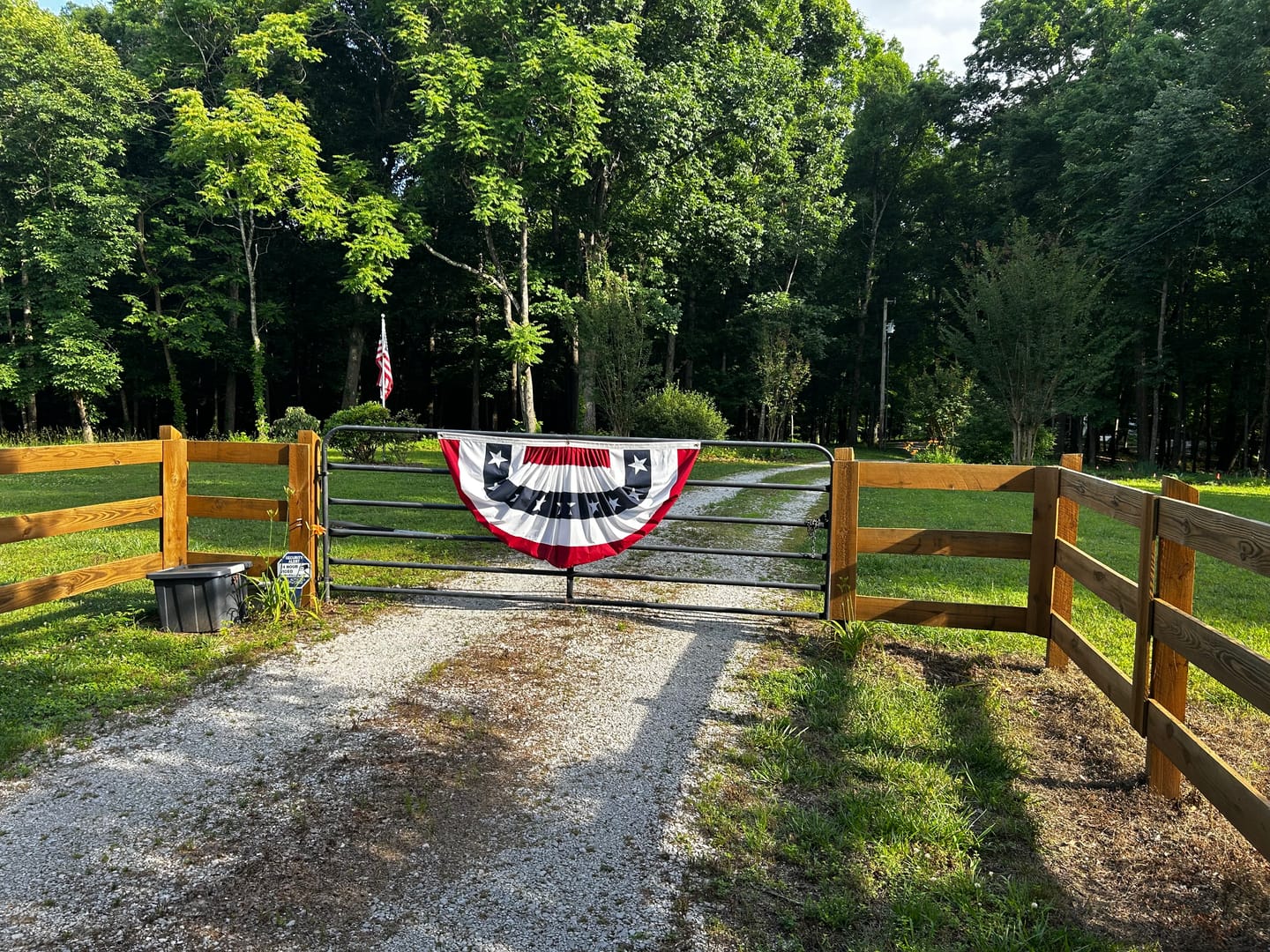 Customer photo review of NEW! Americana Pleated Fan with Stars