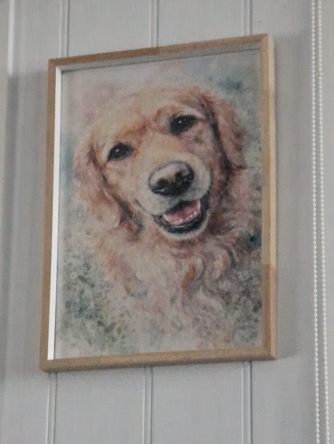 Customer photo review of Personalised Poster With Dog or Cat - Watercolour