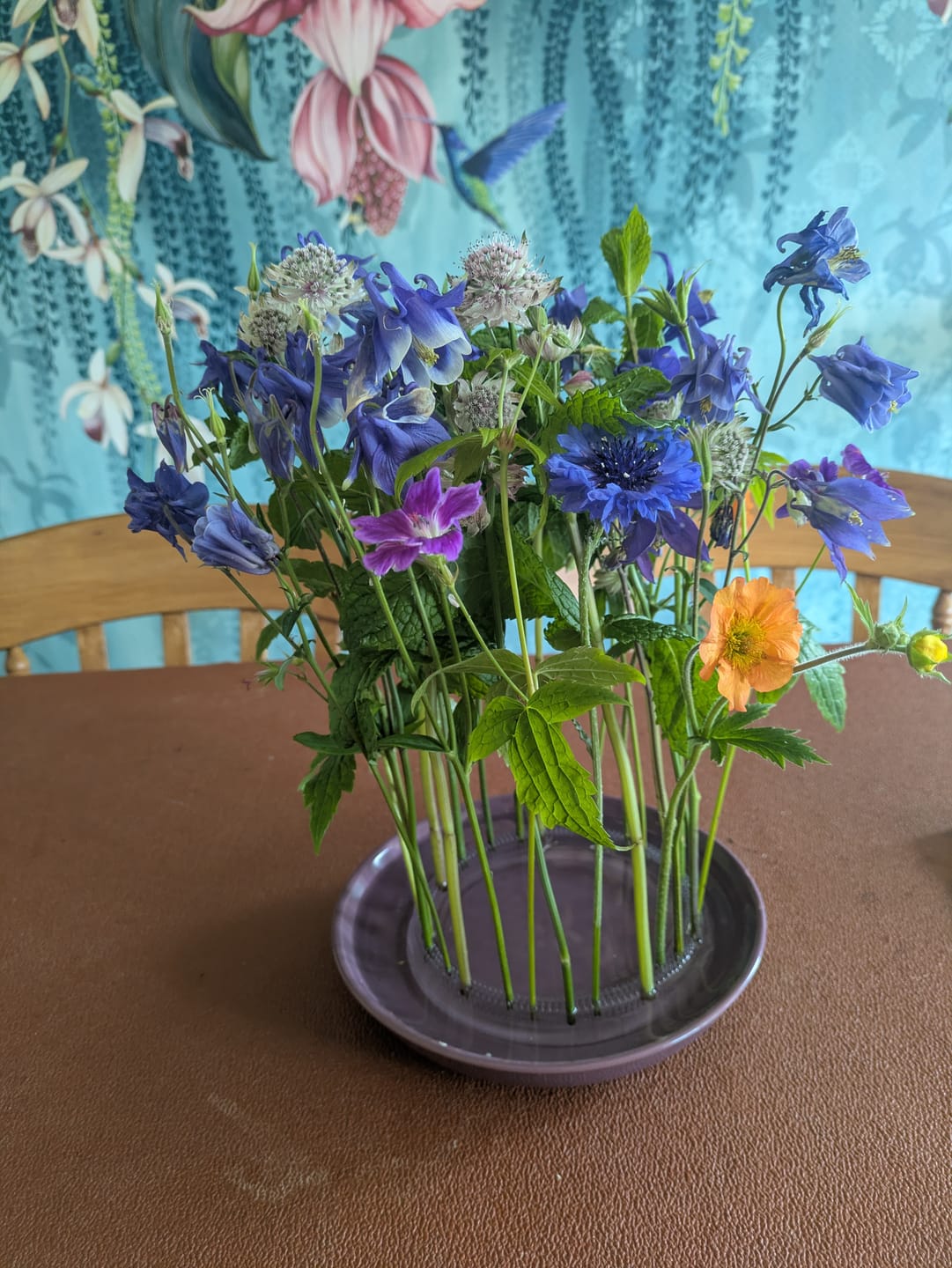 Customer photo review of Kenzan Ring 150 mm Acrylic Flower Frog