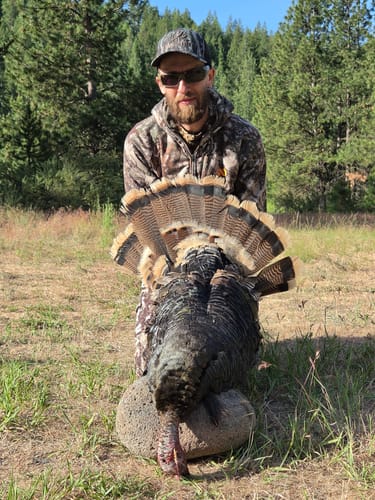 Customer photo review of Crystal Over Slate Pot Call - All Weather