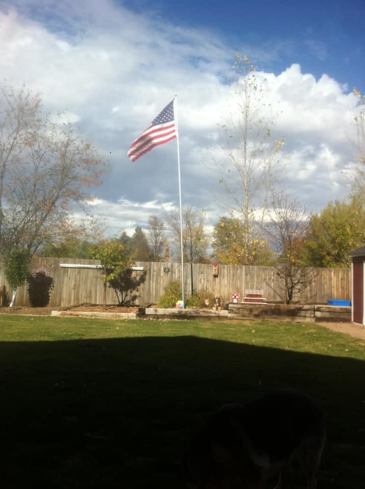Customer photo review of America’s 250th Anniversary Flag – 3x5 Ft Bald Eagle Patriotic Flag | 1776-2026 “250 Years of Freedom” Banner
