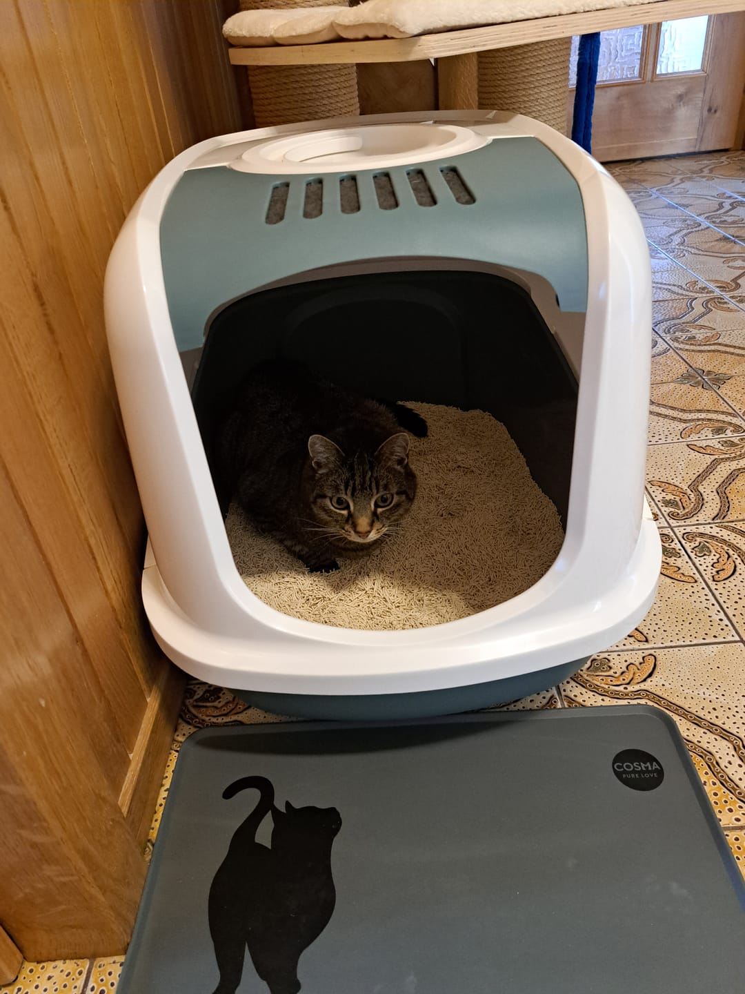 Customer photo review of Naturreines Katzenstreu
