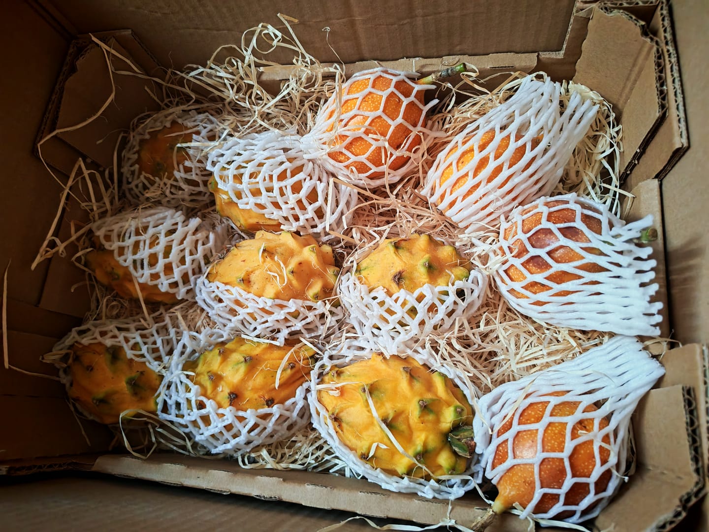 Customer photo review of Drachenfrucht gelb & Granadilla Aktionswoche