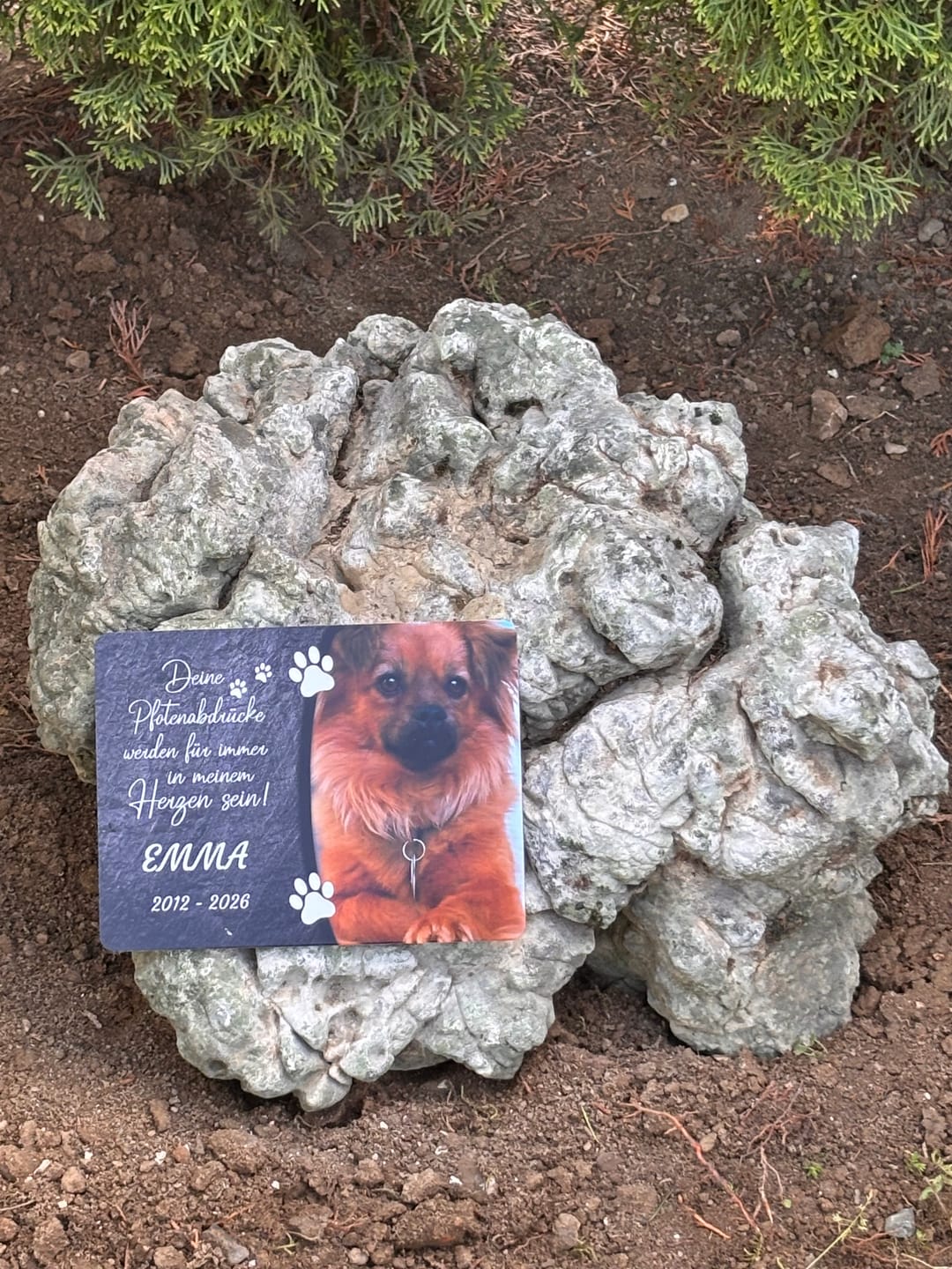 Customer photo review of Hunde Gedenktafel mit Foto & Spruch (UV- & Wetterfest)