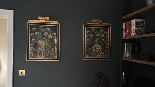 Customer photo review of Luxe Peacock Set of 2 Prints