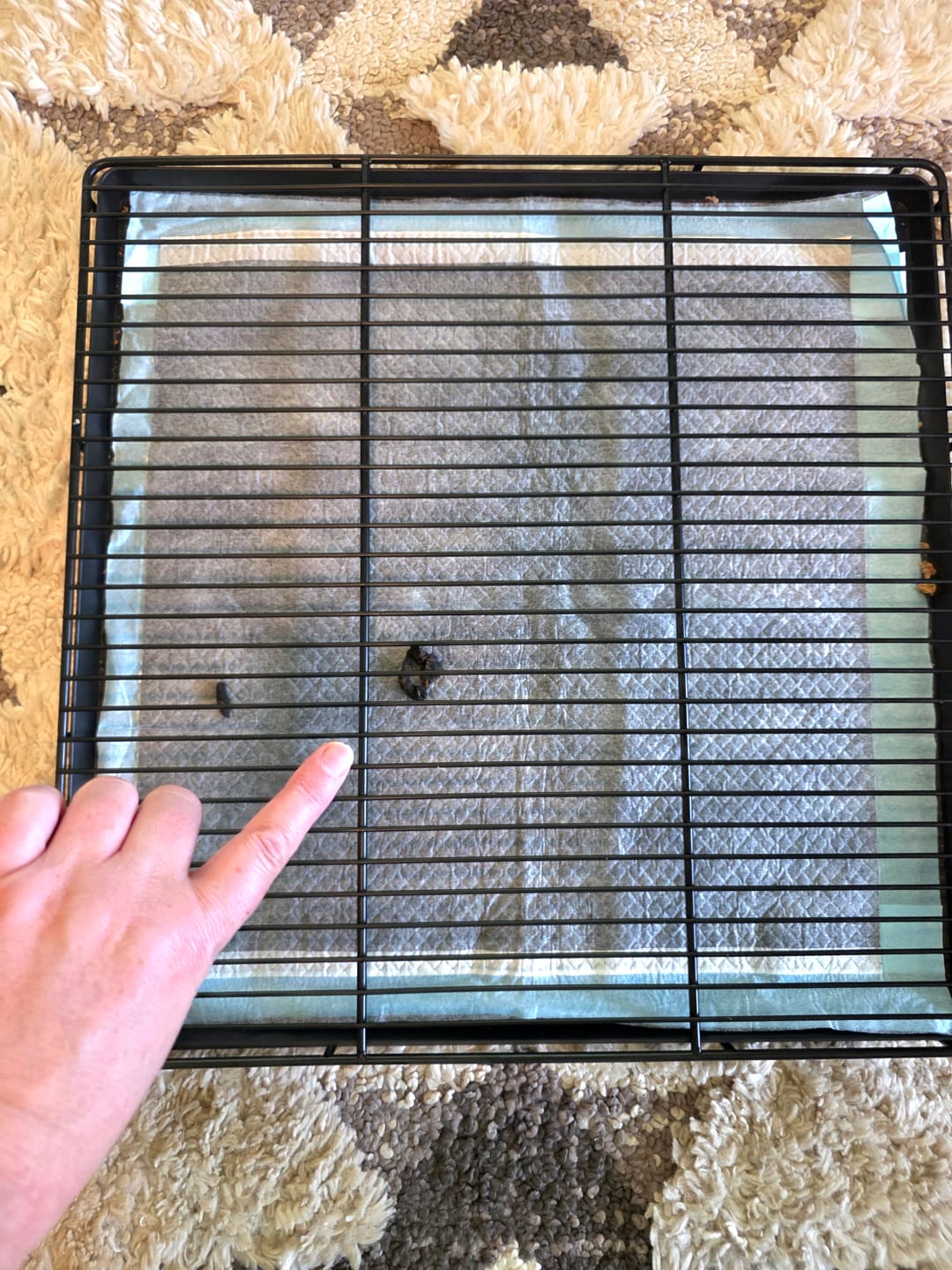 Customer photo review of Little Wolves Potty Tray 22" x 22"