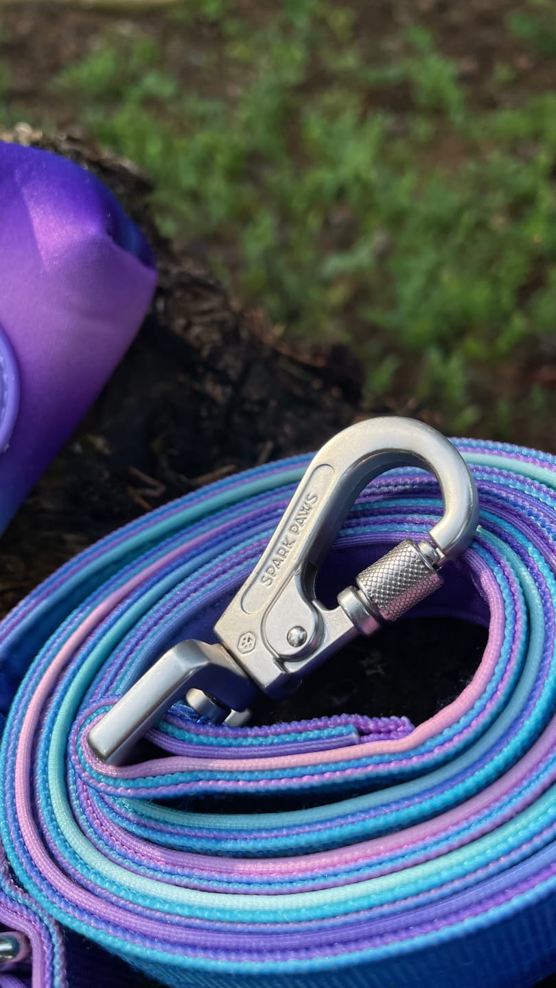 Customer photo review of Leash and Poop Bag Holder Set - 90s Retro