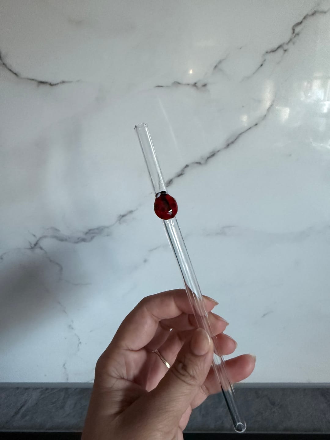 Customer photo review of Ladybug Straw