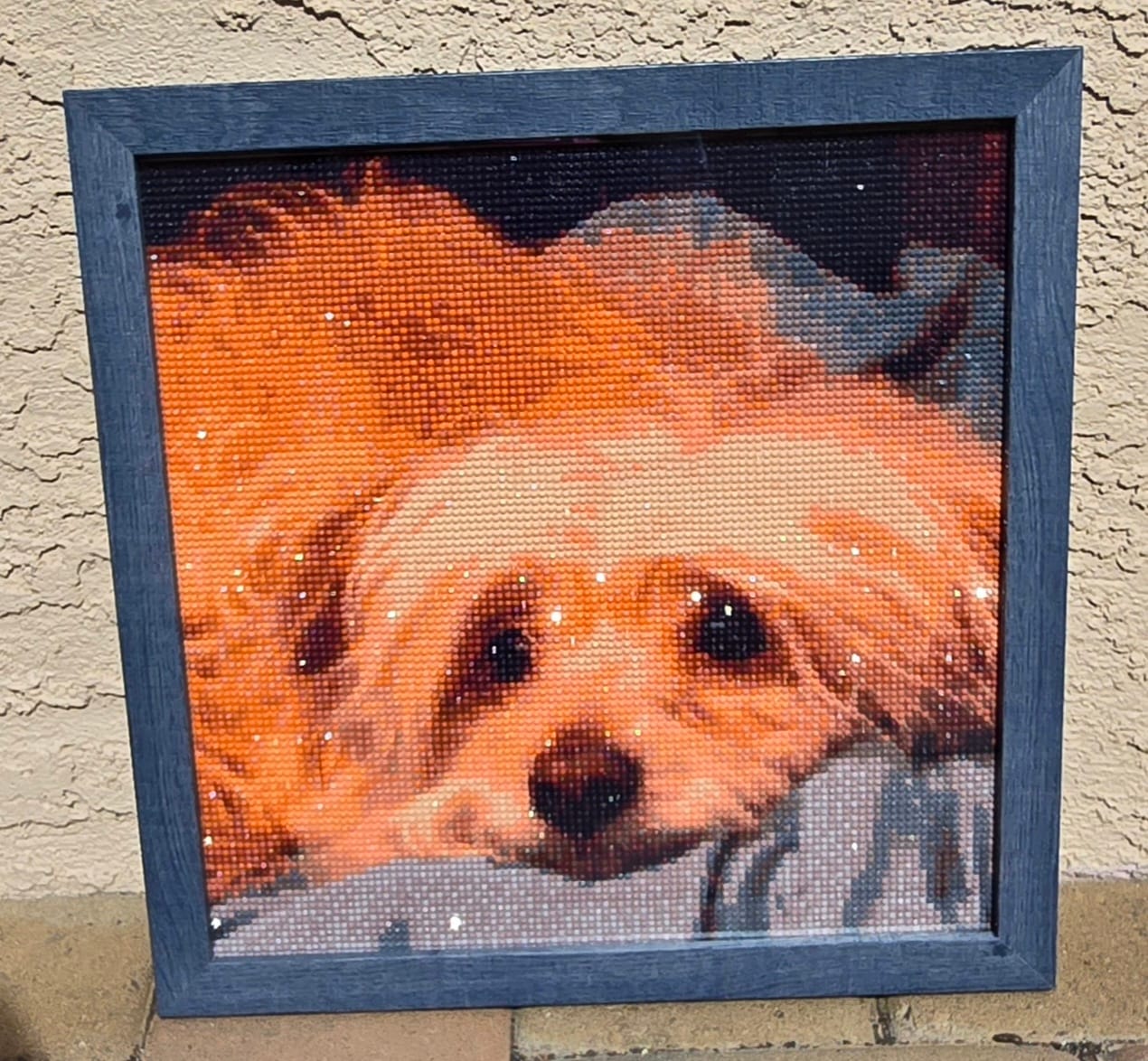 Customer photo review of Custom Diamond Painting Kit