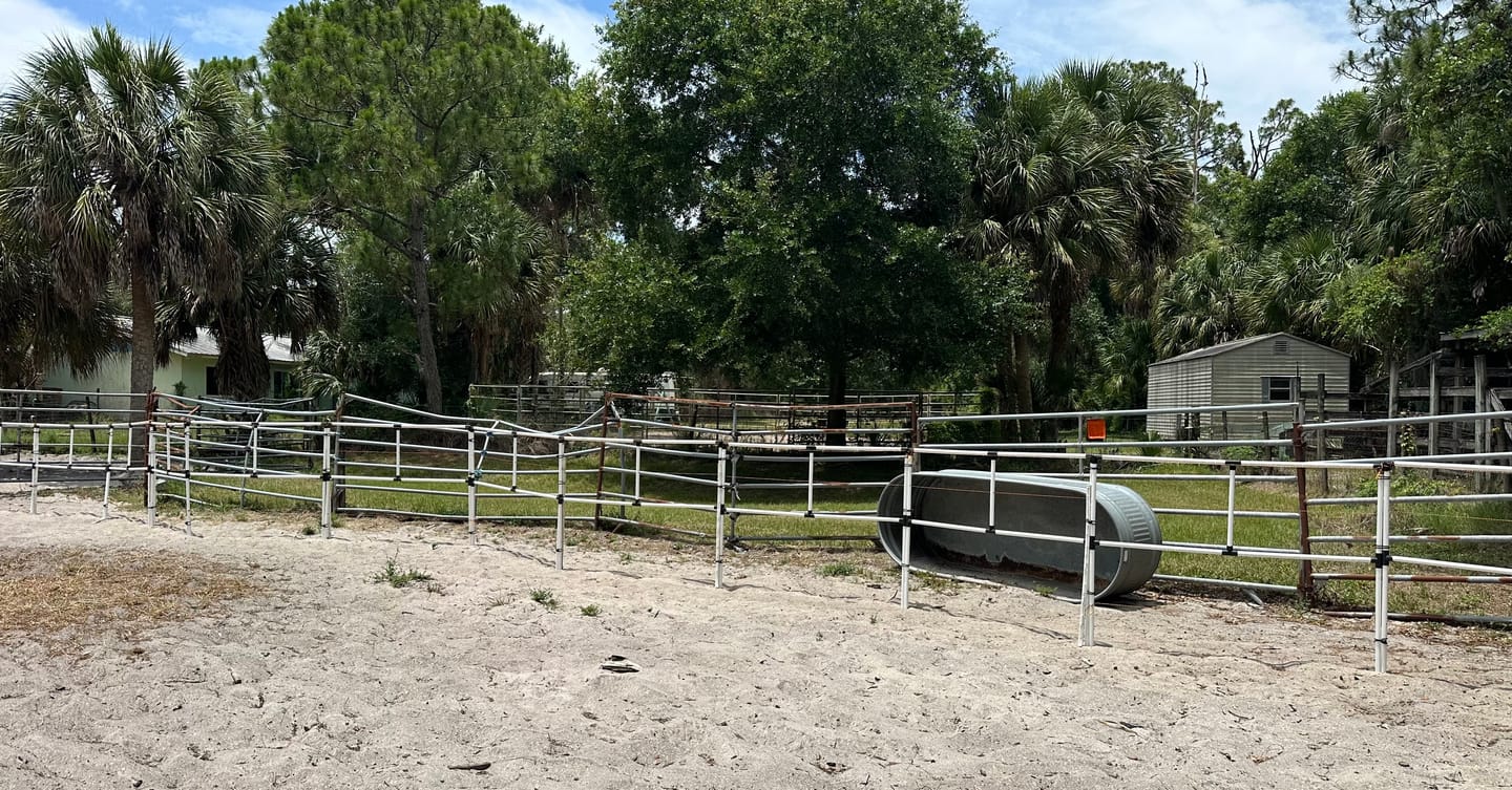 Customer photo review of Ready Made Portable Electric Horse Corral Fencing: (Electric EconoLine 14+4=18 Panels; 2 Rails)