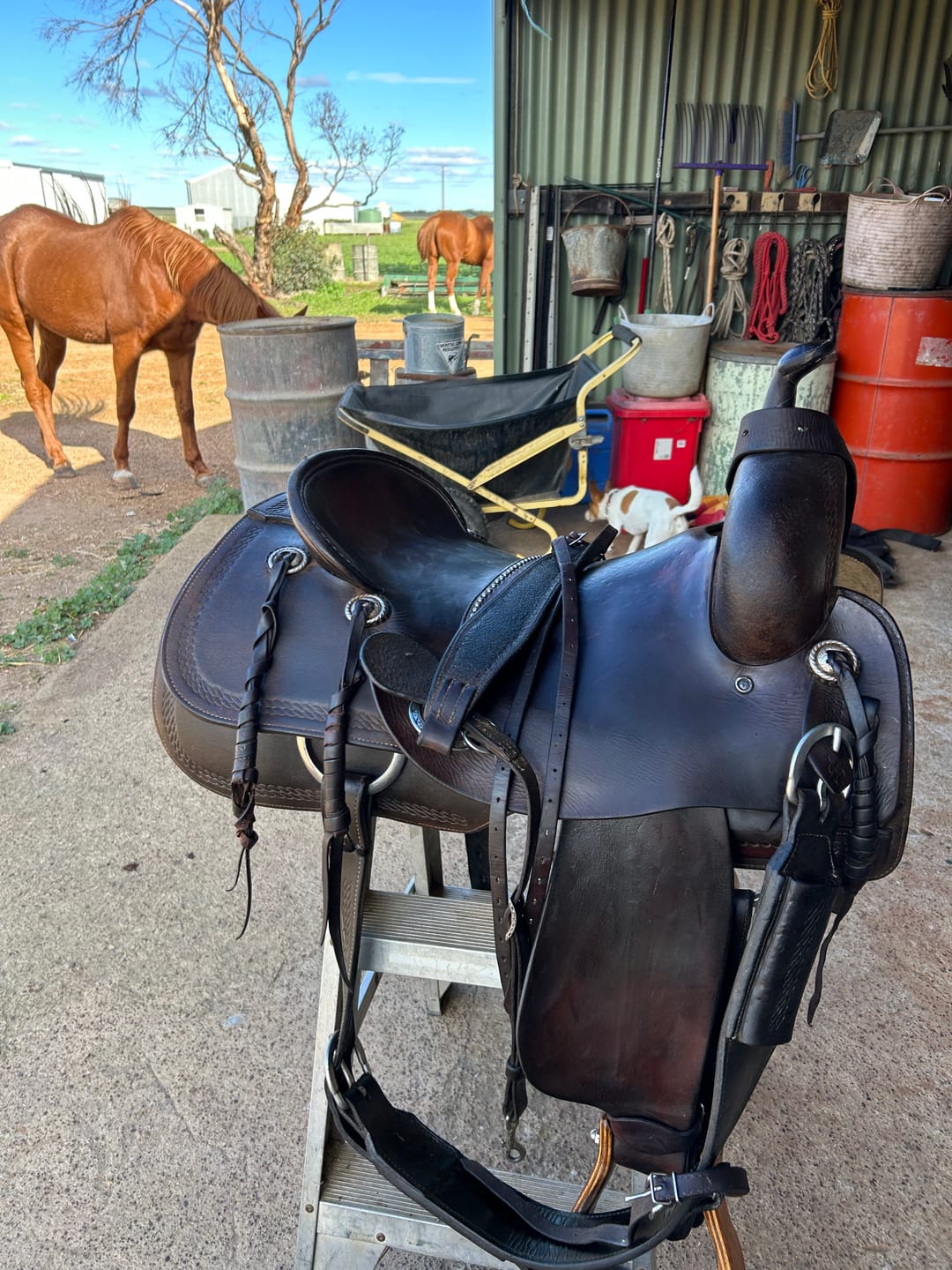 Customer photo review of Tacknology Advanced Tack Sponge