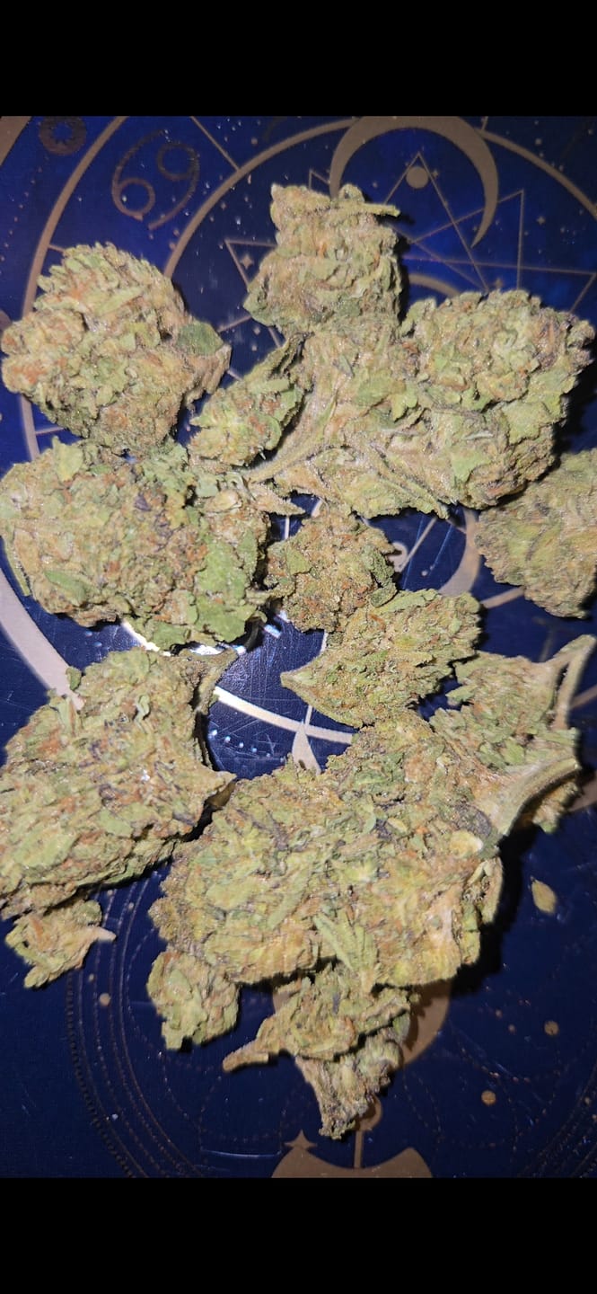 Customer photo review of Melon - Hybrid