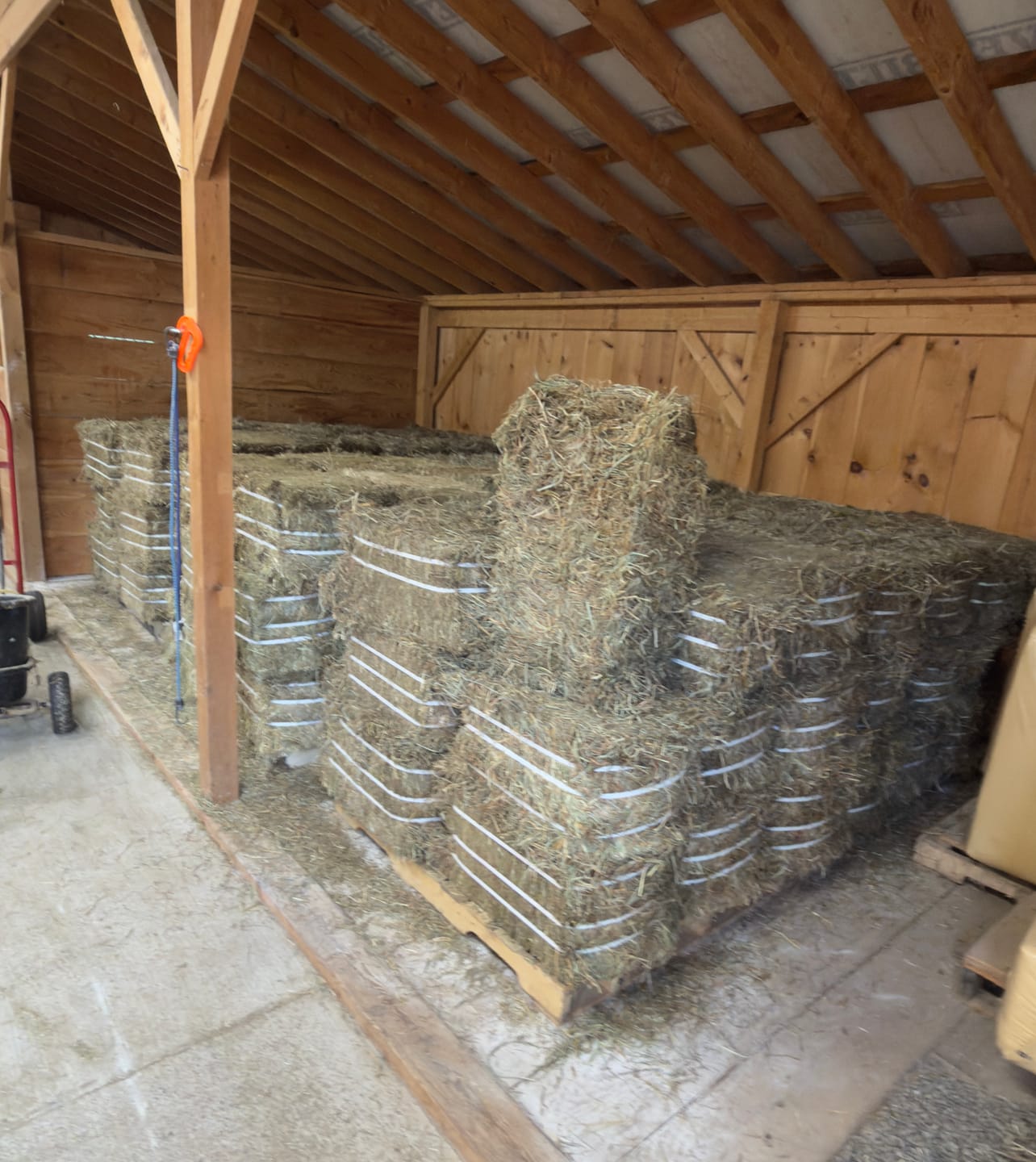 Customer photo review of Timothy Orchard Grass Hay (Click here for Qty Discount) Grass Hay (Buy More - Save More)(Includes delivery too!)