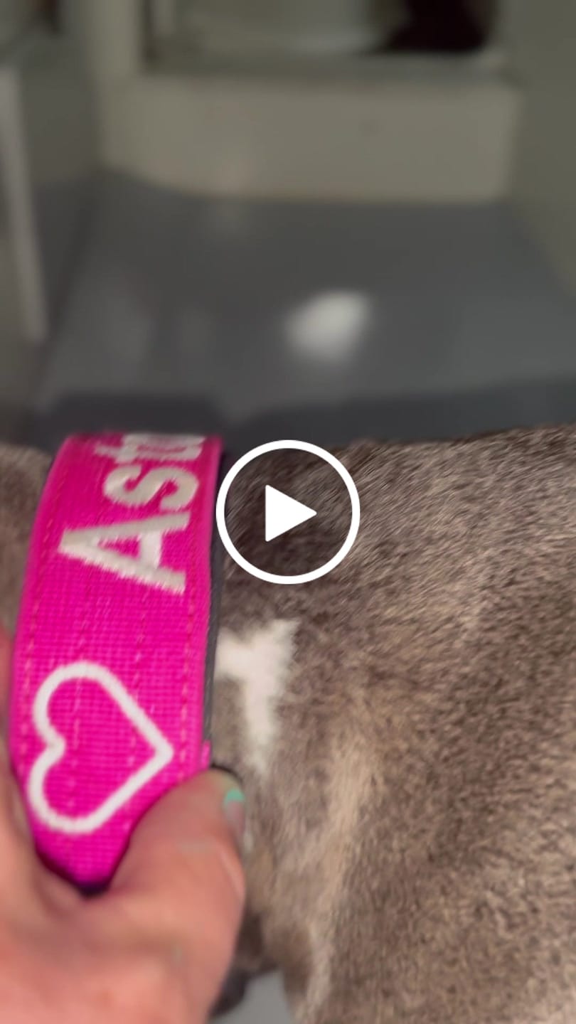 Customer video review of Personalisation Fee £7.99
