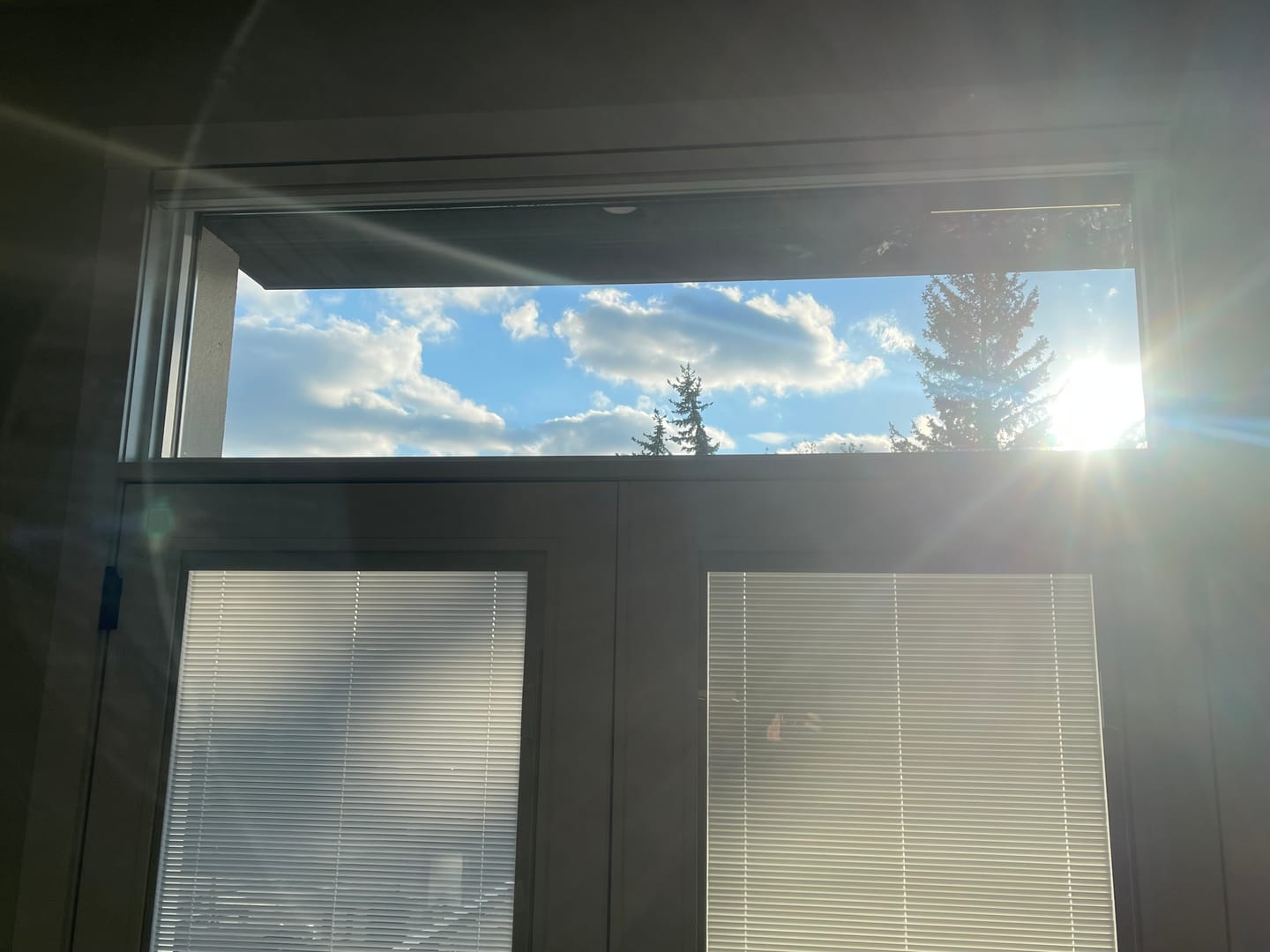 Customer photo review of SmartWings Motorized Blackout Cellular Shades Nowa