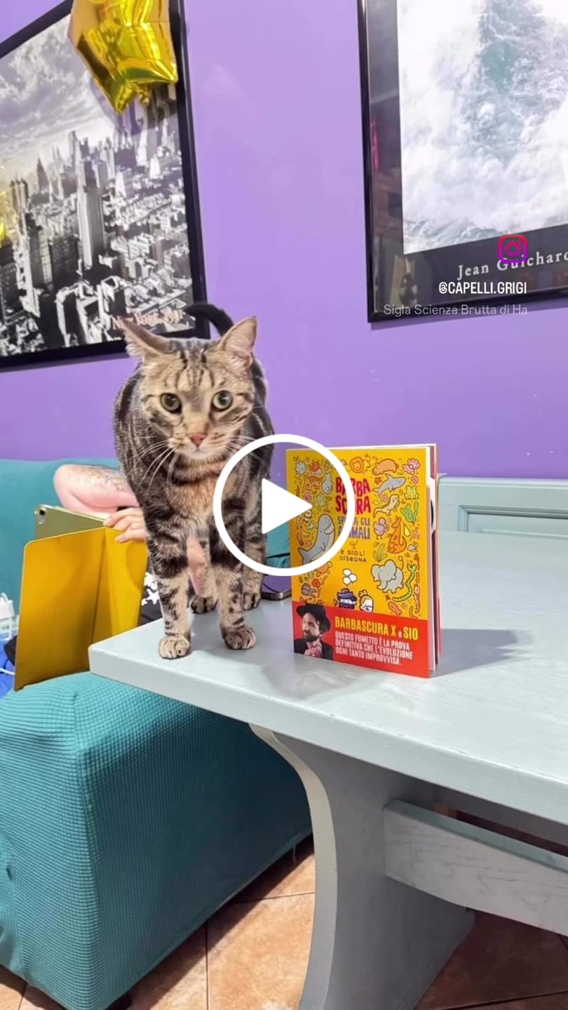 Customer video review of PREORDINE Barbascura spiega gli animali e Sio li disegna