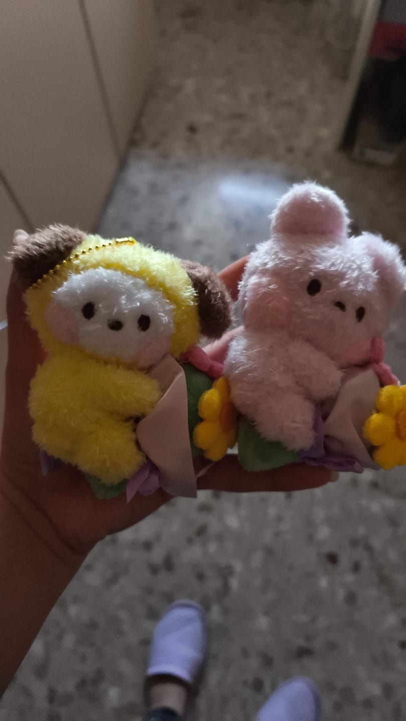 Customer photo review of BT21 - BOUQUET MININI PLUSH KEYRING