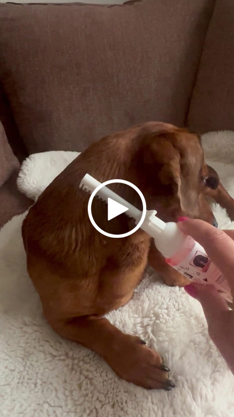 Customer video review of Papaya & Coconut 2-in-1 Detangling Foam Comb for Dogs & Cats