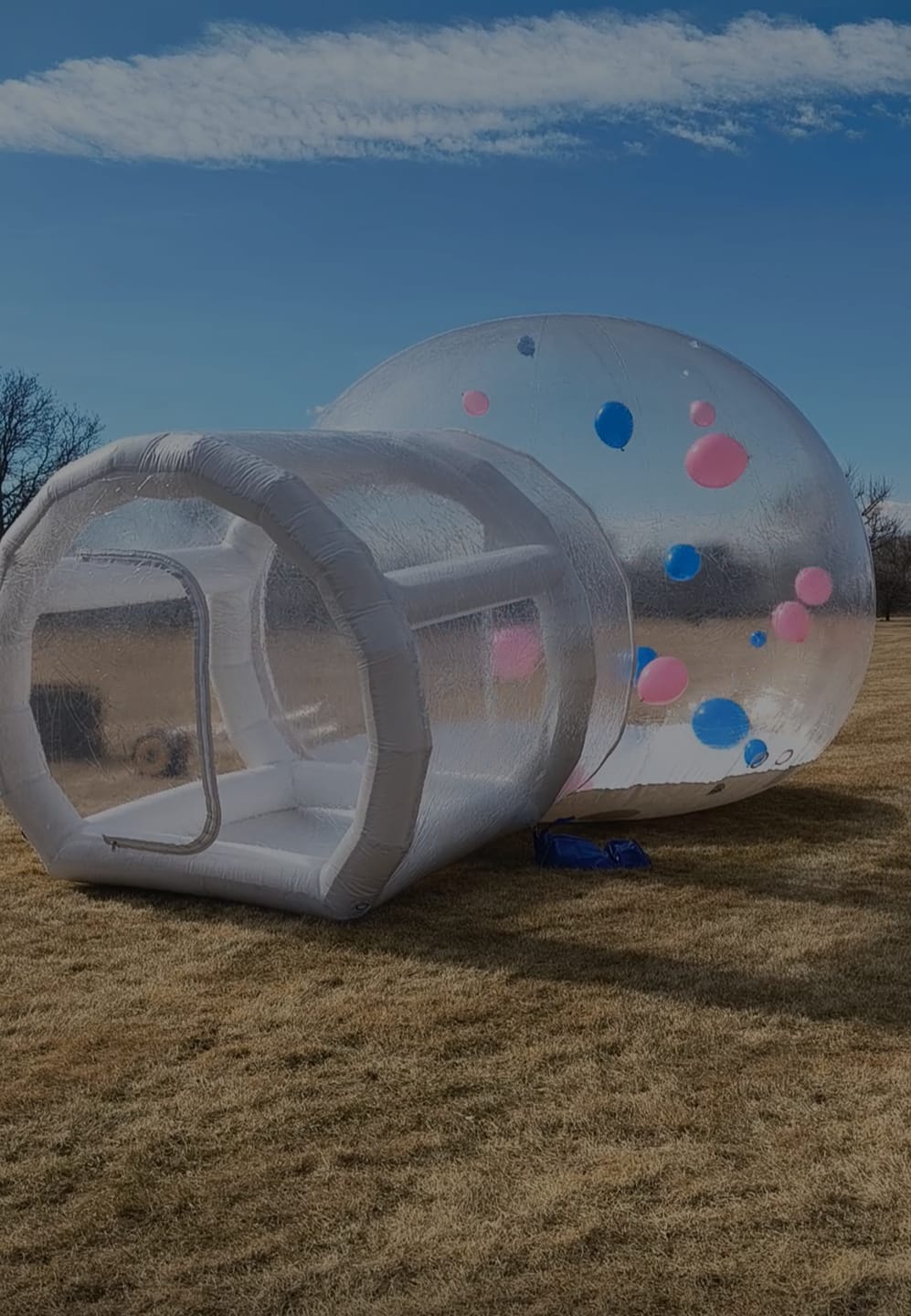 Customer photo review of Inflatable Igloo Bubble House Tent Clear Tent Dome House Inflatable Balloons Bubble House