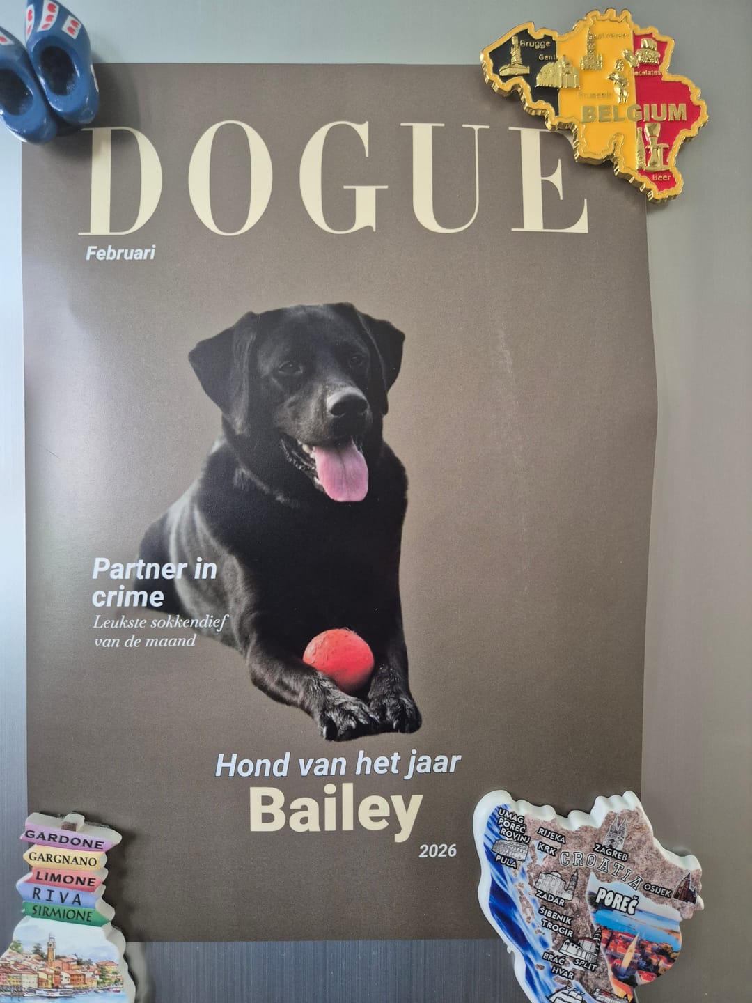 Customer photo review of Dogue - Gepersonaliseerde Poster