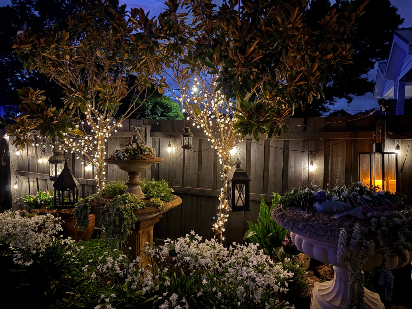 Customer photo review of SolaGarden™ Fairy String Lights