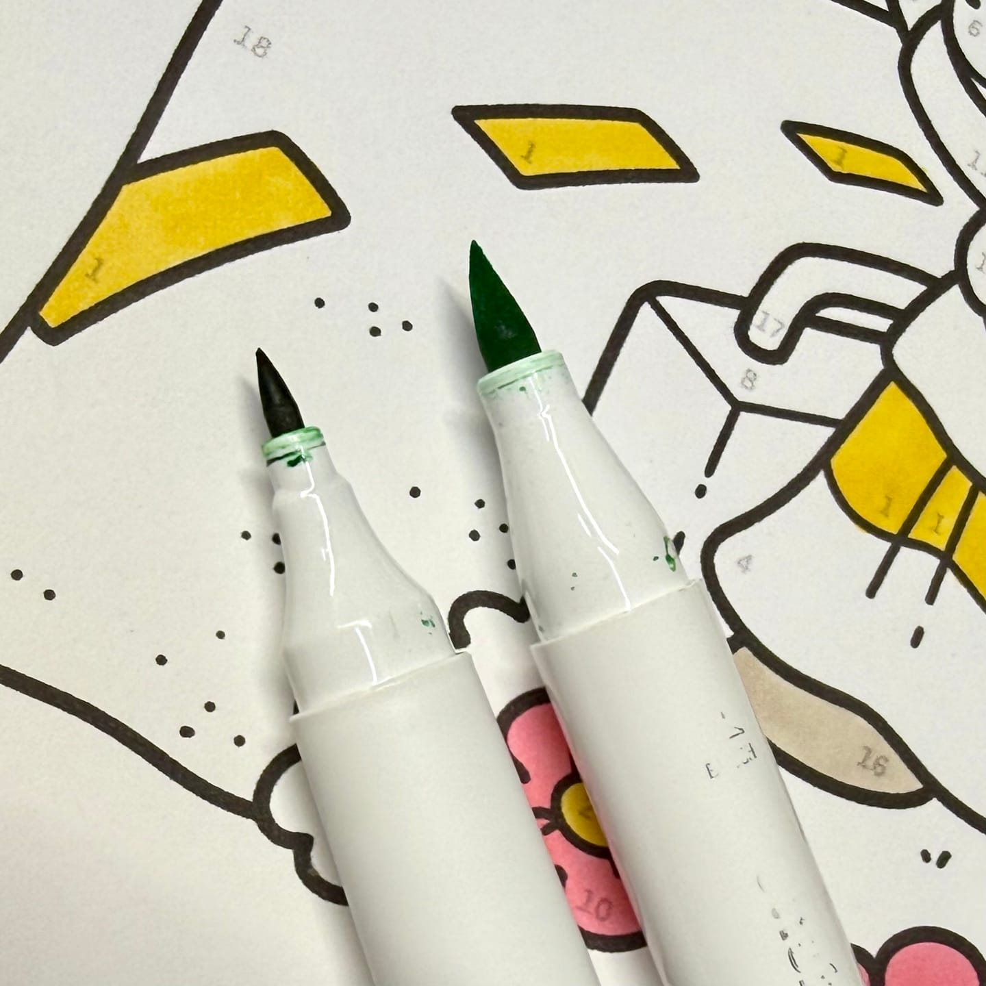 Customer photo review of Ohuhu Kaala Five Tones Slim Broad and Fine Dual Tips Alcohol Art Markers