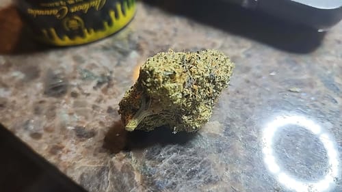 Customer photo review of Gold Spectrum THCA Flower (Exotic) - Cherry Gumbo