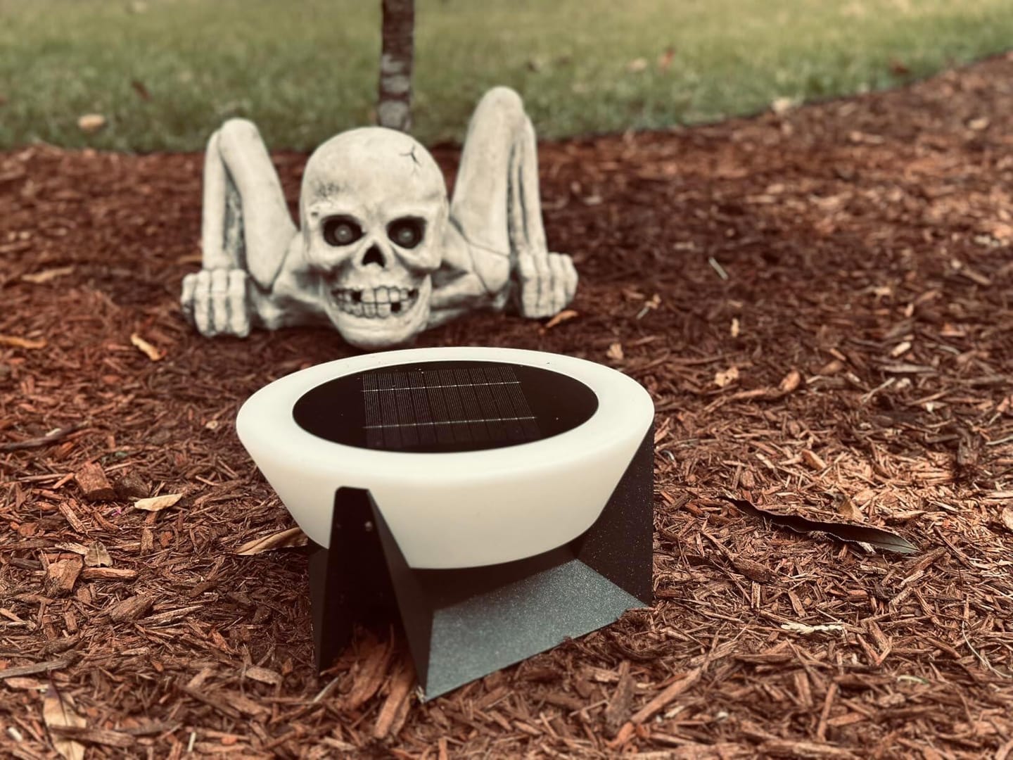 Customer photo review of RIRZ HALO | Modern Solar Outdoor Lamp
