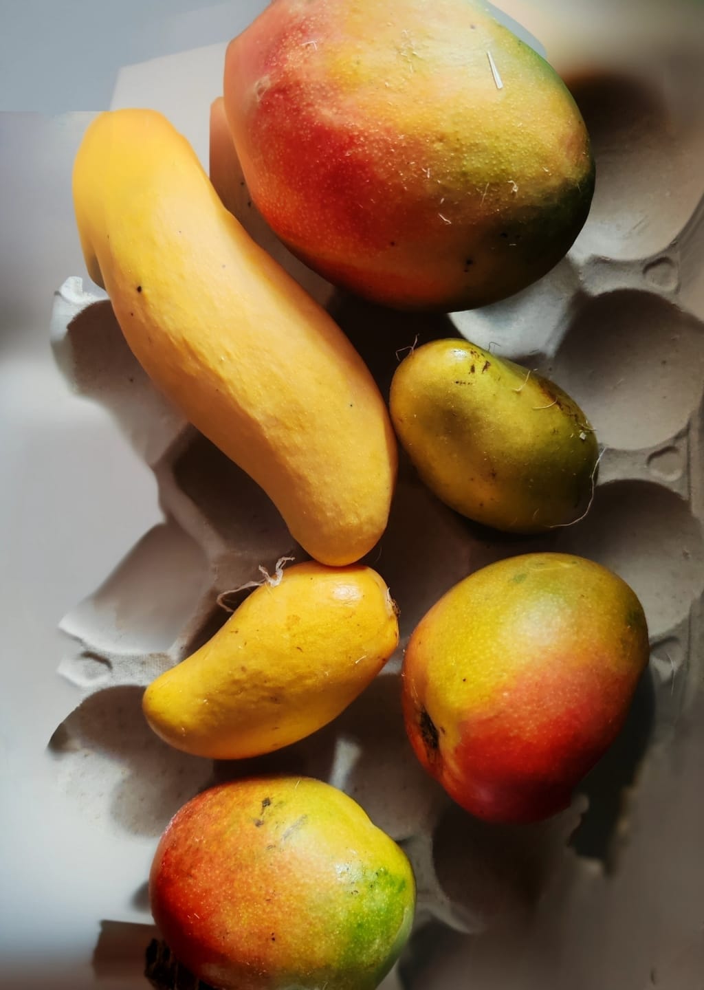 Customer photo review of Mango Entdeckerbox