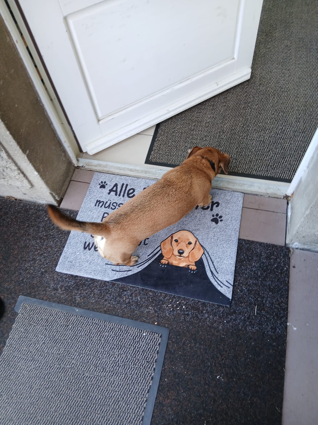 Customer photo review of Personalisierte Fußmatte - Besuch genehmigt