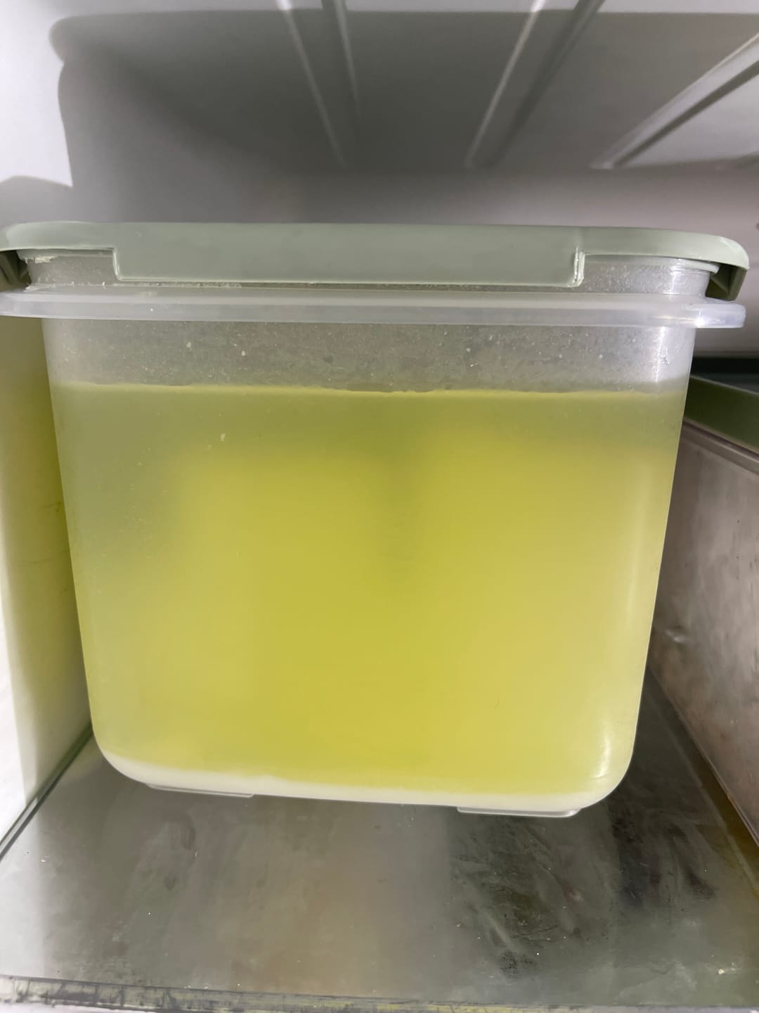 Customer photo review of Authentic Epirus Feta PDO – Mediterranean Tin in Brine for Families 3.5kg (Pre-cut Blocks)