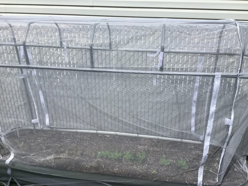 A customer's mesh Garden Cover System installed over a raised bed with small seedlings growing inside.