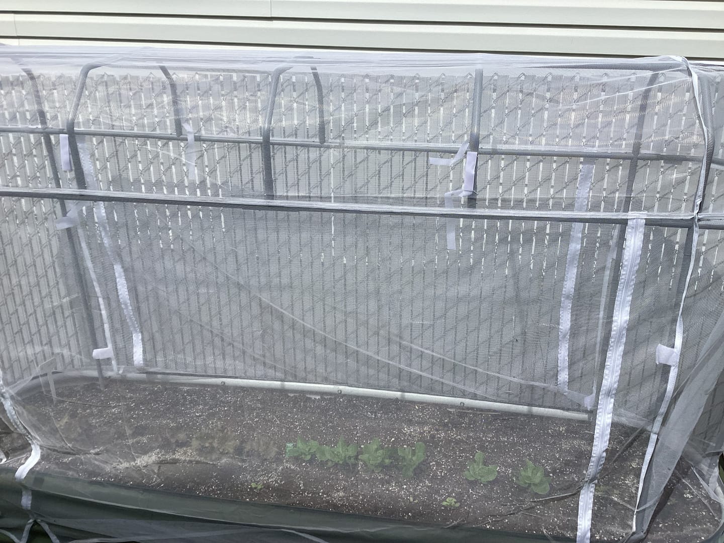Customer photo review of Garden Cover System