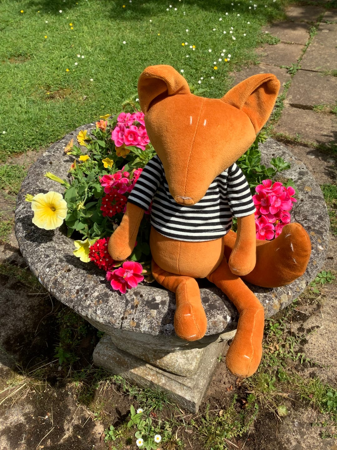 Customer photo review of ARTHUS LE RENARD - L