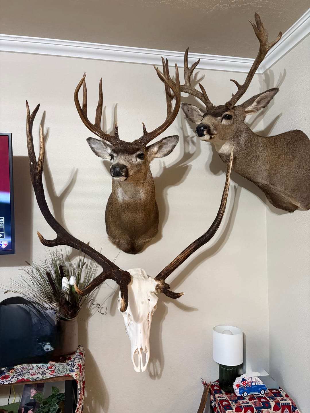 Customer photo review of SkulLok | Large Game