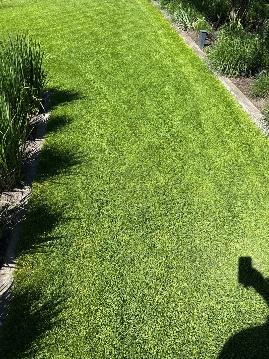 Customer photo review of RASENBLITZ™ - FRÜHJAHRSDÜNGER