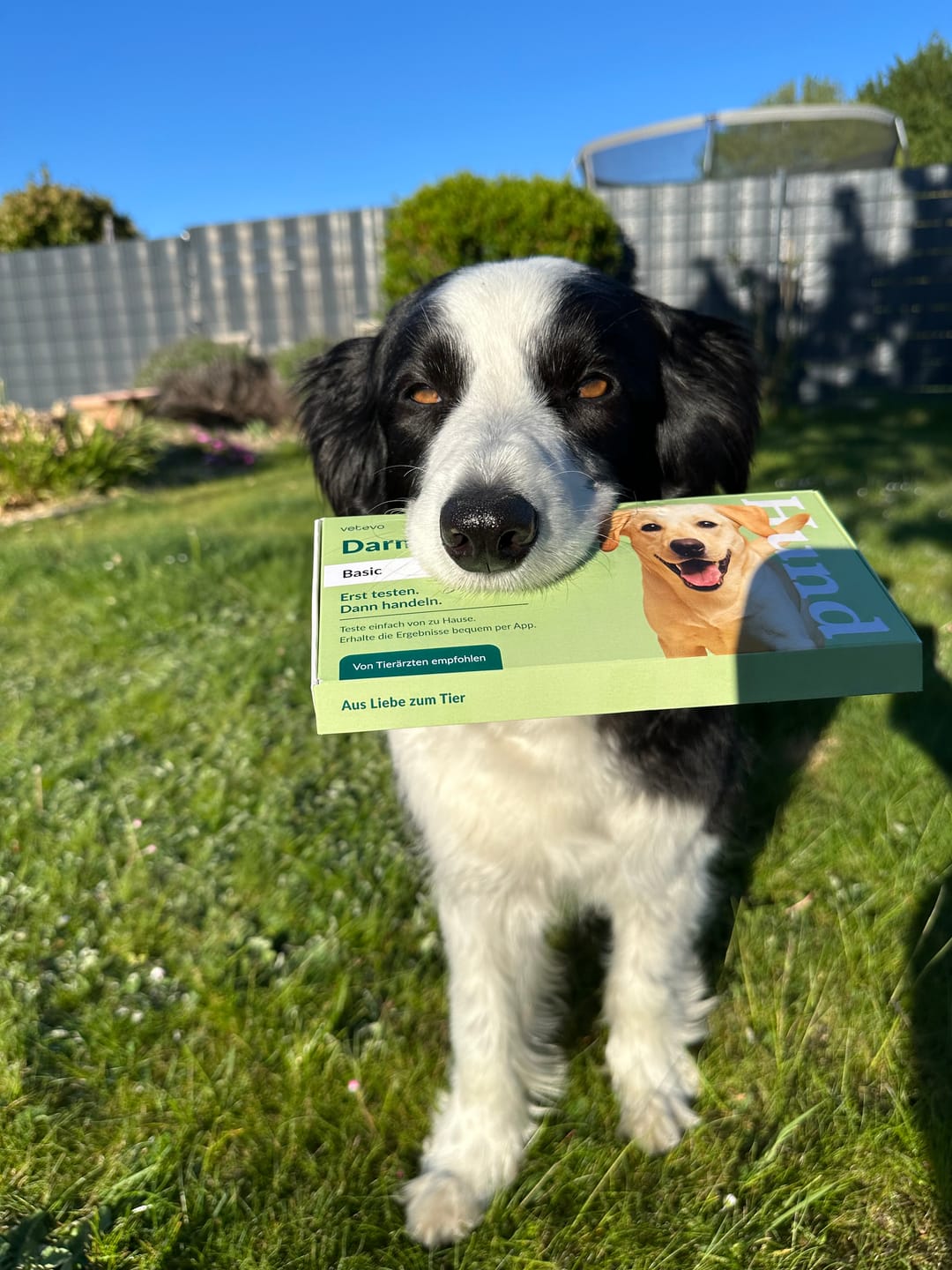 Customer photo review of Darmflora Test Basic Hund