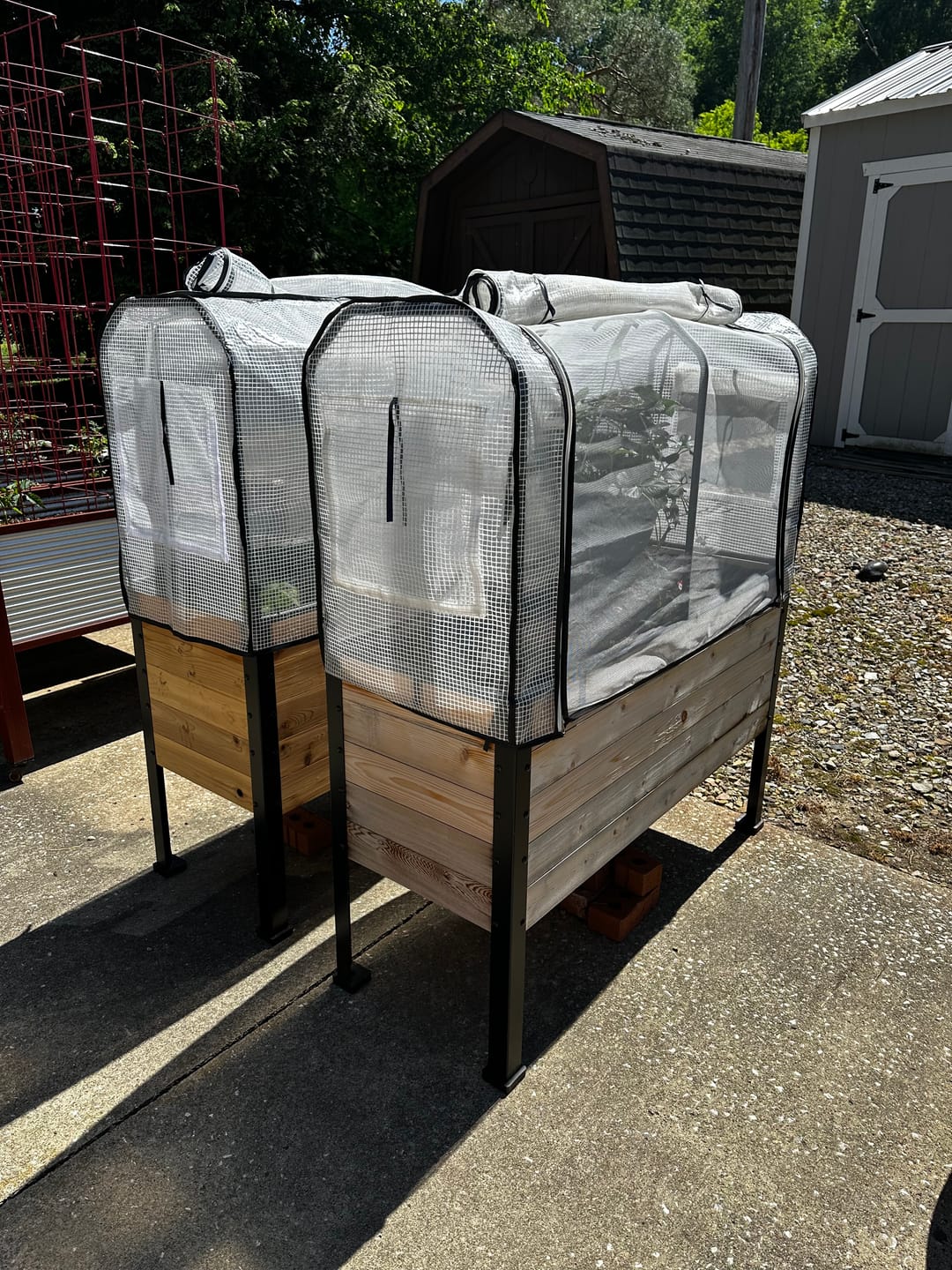Customer photo review of Greenhouse Cover