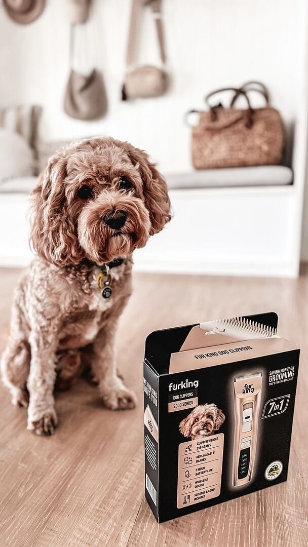 Customer photo review of Best Dog Hair Clipper | Fur King 2000 | Over 200 Australia Reviews