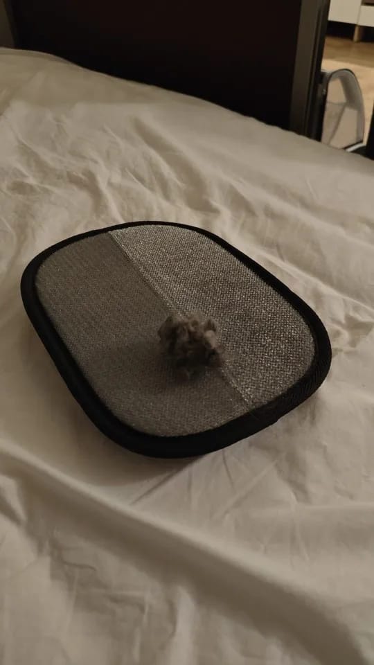 Customer photo review of FurZero Cat Hair Removal Gloves [2pcs]
